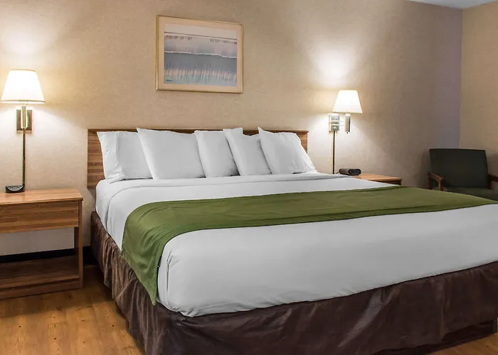 Quality Inn Arena
